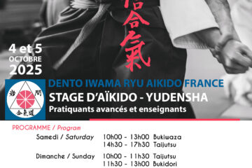 Aïkido, stage yudansha à Paris